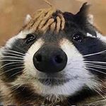 Profile Picture of Brayden Kennedy (@brayden_james135) on Instagram