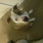 Profile Picture of Donnie Keaton (@don.keaton.10) on Instagram