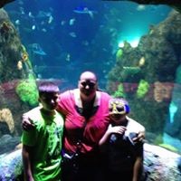 Tiffany Hipps Echols - Quora Profile Picture of Tiffany Hipps Echols (@tiffany-hipps-echols) on Quora