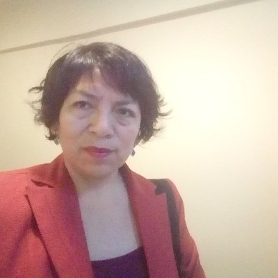 Profile Picture of Luzbel Aida Cordova Martinez (@AidaLuzbel) on Twitter