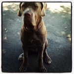 Profile Picture of bella caruso (@bella_caruso401) on Instagram