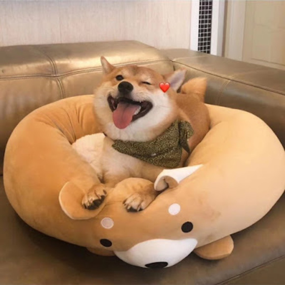 Profile Picture of He Steven (@22stenjin) on Poshmark