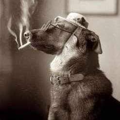 Profile Picture of Charles Brown (@charles.brown.921230) on Facebook