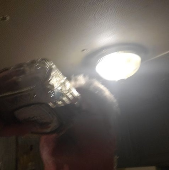 Profile Picture of Mike Lundy (@mike_lundy) on Poshmark