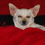 Profile Picture of Kevin Kightlinger (@kev101971) on Instagram