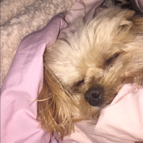 Profile Picture of Chantel Yip (@cwyip) on Poshmark