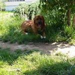 Profile Picture of Gisela Hesse (@giselahesse) on Instagram