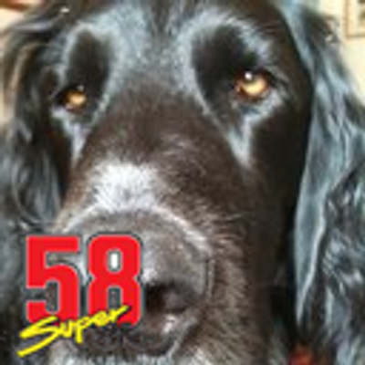 Profile Picture of Simon Harper (@HectorPla5am) on Twitter