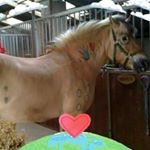 Profile Picture of Doris Kramer (@doris__kramer) on Instagram