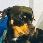 Profile Picture of Nathan Cordova A. (@cordovonathan) on Instagram