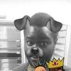 Profile Picture of Kenneth Chisholm (@@kennethchisholm8) on Tiktok