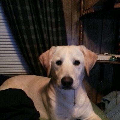 Profile Picture of Matthew DeRoche (@MDeRoche20) on Twitter