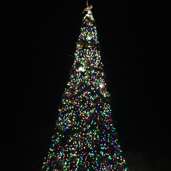 Lorna Garlitz - Poshmark Profile Picture of Lorna Garlitz (@90olygirl) on Poshmark