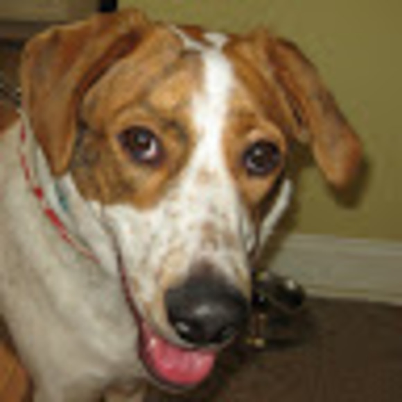 Profile Picture of Eleanor Vande vusse (@eleanorv11) on Poshmark