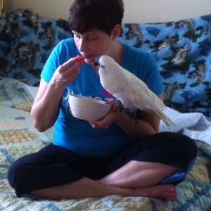Profile Picture of Kim M Doebler (@minasmom0419) on Myspace