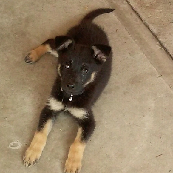 Profile Picture of Cassandra Serna (@yvetteserna03) on Poshmark