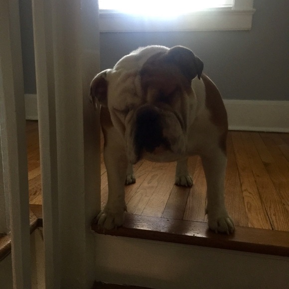 Profile Picture of Mitzi Wright (@mitzi_lou) on Poshmark