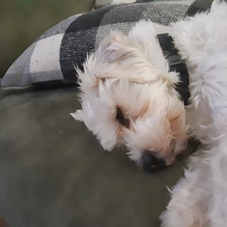 Profile Picture of Mathew Bruneau (@mathew.bruneau.7) on Facebook