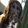 Profile Picture of Luke Dunstan (@Luke Dunstan) on Flickr