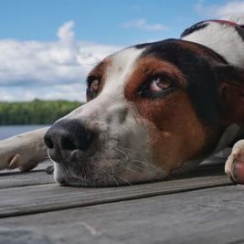 Profile Picture of Karl Anna (@ana_cardo4) on Twitter