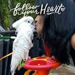 Profile Picture of Stephanie Cain (@pink35901) on Instagram