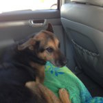 Profile Picture of Heidi Simone (@hasimone1) on Instagram