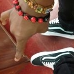 Profile Picture of alexfarrior (@youngflywiz) on Instagram