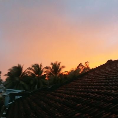 Profile Picture of Erica Nguyễn (@xuannam0410) on Twitter