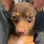 Profile Picture of Laurito Palito (@lauritopalito) on Instagram