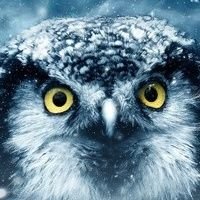 Profile Picture of René Adam (@RenAdam13) on Twitter