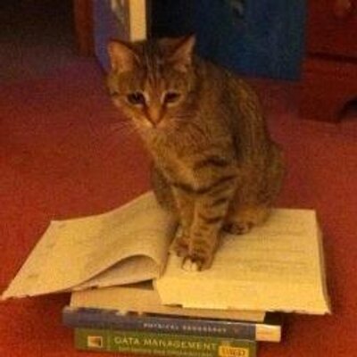 Profile Picture of Patrick Rosenthal (@pjayrosenthal) on Twitter