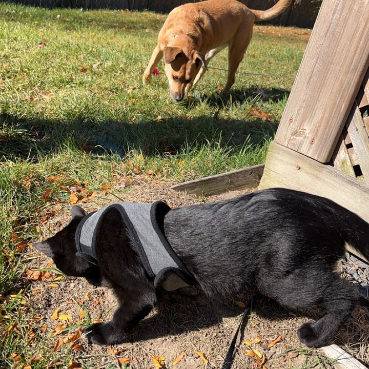 Ryan Tuppy - Tiktok Profile Picture of Ryan Tuppy (@r.tuppy) on Tiktok