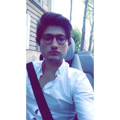 Profile Picture of Raphael Levy (@RaphLev) on Twitter