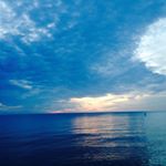 Profile Picture of Laura J (@laura.januszewski) on Instagram