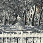 Profile Picture of Julia Corrigan (@corriganjboston) on Instagram