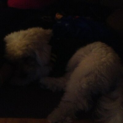Profile Picture of David Guyer (@daveguyer) on Twitter