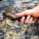 Aaron Kuhlmann - Instagram Profile Picture of Aaron Kuhlmann (@ackuhlmann) on Instagram