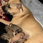 Jeffrey Swartz - Facebook Profile Picture of Jeffrey Swartz (@Jeffrey-Swartz) on Facebook