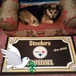 Profile Picture of Richard Morando (@morandorichard) on Instagram