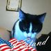 Profile Picture of Samuel Waller (@samuel.waller.562) on Facebook