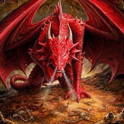 Profile Picture of Paula Calvert (@paula_calvert) on Twitter