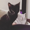 Profile Picture of Kathlyn Sheldon (@@kayspyro) on Tiktok
