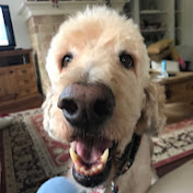 Profile Picture of Cayla Wilson (@caylawilson8657) on Youtube