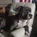 Profile Picture of Nancy Presler (@nancy.presler.547) on Facebook