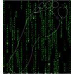 Profile Picture of Tony Cammarota (@dennisvoka35) on Instagram