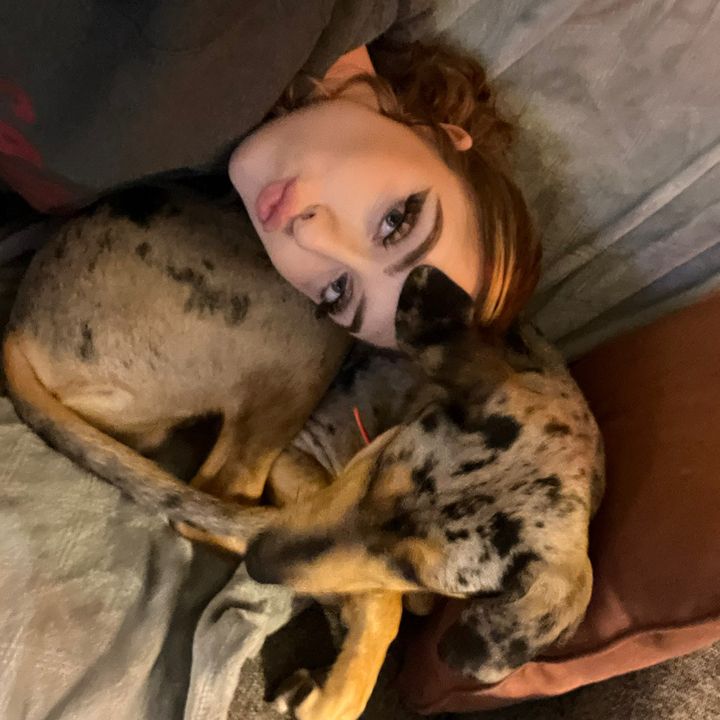 Profile Picture of Jillyan Quail (@jillyanquail) on Tiktok