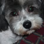 Profile Picture of Valery Craig (@valery.craig.7) on Facebook