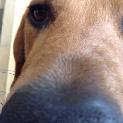 Profile Picture of Jackson Renda (@MrJacksonMays) on Twitter