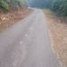 Profile Picture of Kong Kong (@Kong-Kong) on Facebook