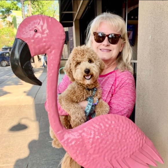 Profile Picture of Julie Ditmarsen (@julscoolstuff) on Poshmark